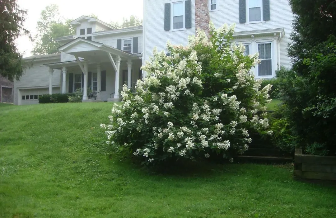 Antique Mansion B & B-1